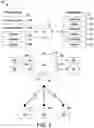 Fig. 04 - Computer animation methods and systems