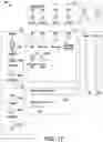 Fig. 18 - Computer animation methods and systems