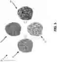 Fig. 04 - Patient-specific cortical surface tessellation into dipole patches