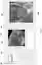 Fig. 11 - Four-dimensional imaging system for cardiovascular dynamics