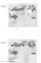 Fig. 47 - Information processing device and information processing method