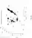 Fig. 30 - Object detection apparatus, system and method using feature maps transformed into a template coordinate system