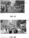 Fig. 05 - Vision based light detection and ranging system using multi-fields of view