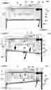 Fig. 03 - Physiologically-correct electro-mechanical Lung Simulator