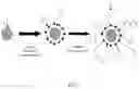 Fig. 06 - ELECTROPHORETIC MEDIUM INCLUDING FLUORESCENT PARTICLES