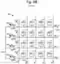 Fig. 14 - Signal amplification in MRAM during reading, including a pair of complementary transistors connected to an array line