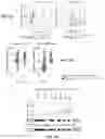 Fig. 13 - METHODS FOR CHARACTERIZING THE LIMITATIONS OF DETECTING VARIANTS IN NEXT-GENERATION SEQUENCING WORKFLOWS