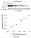 Fig. 17 - METHODS FOR CHARACTERIZING THE LIMITATIONS OF DETECTING VARIANTS IN NEXT-GENERATION SEQUENCING WORKFLOWS