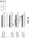 Fig. 09 - METHOD OF ALIGNING STRINGS OF CHARACTERS REPRESENTING GENOMIC DATA AND RELATED HARDWARE DEVICE