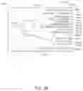 Fig. 30 - RECONFIGURATION OF DISPLAY SHARING