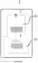 Fig. 09 - Digital detector, apparatus of charged-particle beam such as electron microscope comprising the same, and method thereof