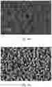 Fig. 05 - DISLOCATION FREE SEMICONDUCTOR NANOSTRUCTURES GROWN BY PULSE LASER DEPOSITION WITH NO SEEDING OR CATALYST