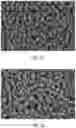 Fig. 06 - DISLOCATION FREE SEMICONDUCTOR NANOSTRUCTURES GROWN BY PULSE LASER DEPOSITION WITH NO SEEDING OR CATALYST