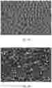 Fig. 07 - DISLOCATION FREE SEMICONDUCTOR NANOSTRUCTURES GROWN BY PULSE LASER DEPOSITION WITH NO SEEDING OR CATALYST