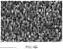 Fig. 08 - DISLOCATION FREE SEMICONDUCTOR NANOSTRUCTURES GROWN BY PULSE LASER DEPOSITION WITH NO SEEDING OR CATALYST