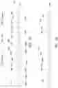 Fig. 11 - Method of making semiconductor device which includes Fins
