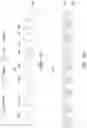 Fig. 15 - Method of making semiconductor device which includes Fins