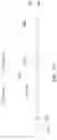 Fig. 23 - Method of making semiconductor device which includes Fins