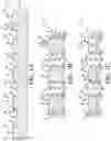Fig. 03 - Integrated assemblies and methods of forming integrated assemblies