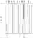 Fig. 21 - Display panel including lower pattern on first barrier layer and display device including the same