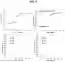 Fig. 09 - Graphene-based TFT comprising nitrogen-doped graphene layer as active layer