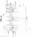 Fig. 32 - Semiconductor device and method of fabricating the same