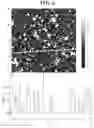 Fig. 06 - APPLICATION OF NANOPARTICLES FOR PLASMON ENERGY EXTRACTION IN ORGANIC DEVICES