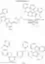 Fig. 458 - LIGHT EMITTING DEVICE AND POLYCYCLIC COMPOUND FOR THE SAME