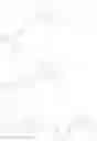 Fig. 42 - HETEROCYCLIC COMPOUND AND ORGANIC LIGHT-EMITTING DIODE COMPRISING SAME