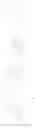 Fig. 412 - LIGHT-EMITTING MATERIAL WITH A POLYCYCLIC LIGAND