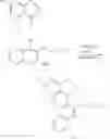 Fig. 44 - LIGHT-EMITTING MATERIAL WITH A POLYCYCLIC LIGAND