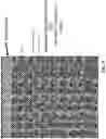Fig. 11 - Solid polymer matrix electrolytes (PME) and methods and uses thereof