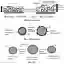 Fig. 03 - ELECTRODE STRUCTURES FOR LITHIUM BATTERIES