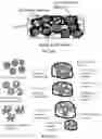 Fig. 04 - ELECTRODE STRUCTURES FOR LITHIUM BATTERIES