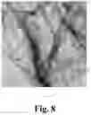 Fig. 09 - NOVEL VANADIUM OXIDE CATHODE MATERIAL