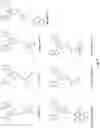 Fig. 06 - Conducting redox oligomers