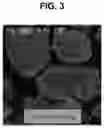 Fig. 03 - Method for producing cathode material and cathode including cathode material produced thereby