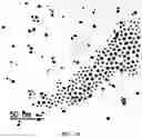 Fig. 05 - Electrode including metal nanoparticles having conductive polymer shell and conductive film and method for manufacturing the same