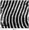 Fig. 09 - Electrode including metal nanoparticles having conductive polymer shell and conductive film and method for manufacturing the same