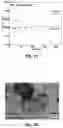 Fig. 07 - Air electrodes of solid oxide electrochemical cells