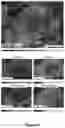 Fig. 05 - Cellulose-based separators comprising flame retardant, and uses thereof in electrochemistry