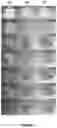Fig. 08 - Cellulose-based separators comprising flame retardant, and uses thereof in electrochemistry