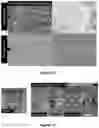 Fig. 13 - Cellulose-based separators comprising flame retardant, and uses thereof in electrochemistry