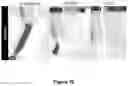 Fig. 19 - Cellulose-based separators comprising flame retardant, and uses thereof in electrochemistry