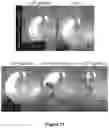 Fig. 21 - Cellulose-based separators comprising flame retardant, and uses thereof in electrochemistry