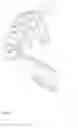 Fig. 43 - Receptacle head for power extension cord