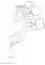 Fig. 81 - Receptacle head for power extension cord