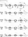 Fig. 01 - Normally open tie pulse testing