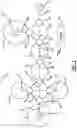 Fig. 02 - Radial restoration