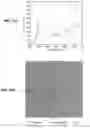 Fig. 19 - METHOD AND SYSTEM FOR LOW EMISSIVITY, COLOR NEUTRAL INSULATED GLASS UNITS WITH TRANSPARENT PHOTOVOLTAICS